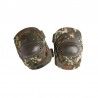 CODERAS FLECKTARN