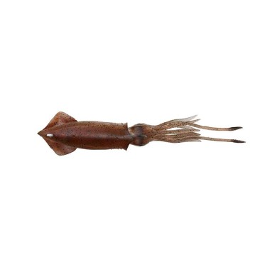 SEÑUELO SG 3D TPE SWIM SQUID 95MM 10G RED BROWN