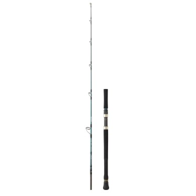 CAÑA DAIWA GRANDWAVE SJ 66 HS