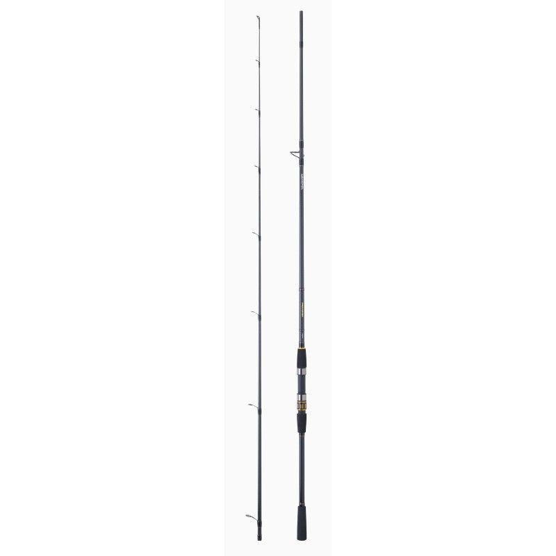CAÑA DAIWA PROCASTER A 702 MFSE BX