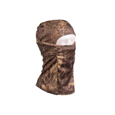 PASAMON MULTICAM
