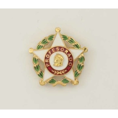 Distintivo Profesorado Oficial