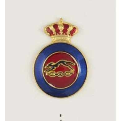 Distintivo Educacion Fisica Instructor