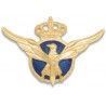 Distintivo Piloto Aviacion Civil Oficial