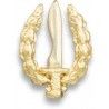 Pin pequeño emblema GOE
