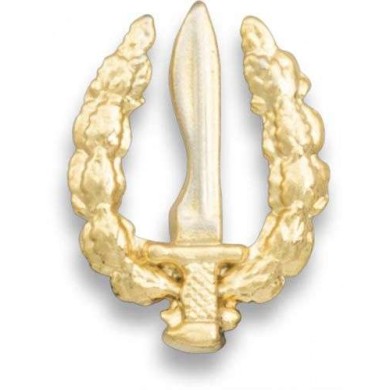 Pin pequeño emblema GOE
