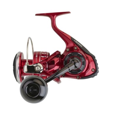 CARRETE DAIWA BG RR LT 8000 PARK