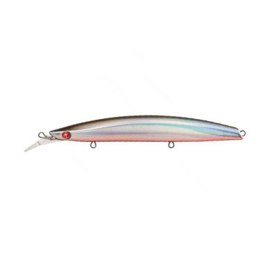 SEASPIN BUGINU 140 SS 28 GR COLOR ALR