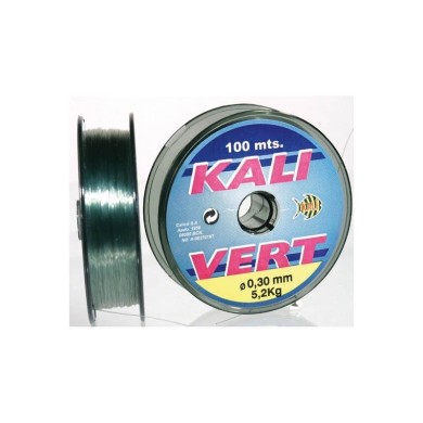 C/100 NILON VERT KALI VERDE