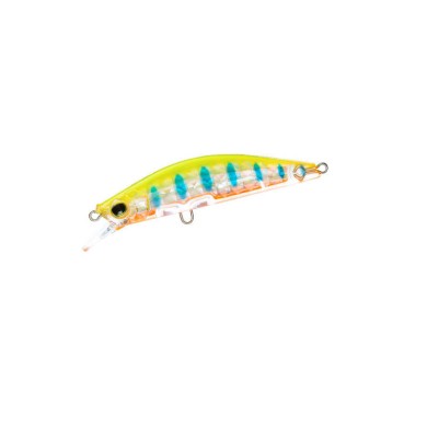 SEÑUELO R1542-PCBT 3DRX MINNOW S 60