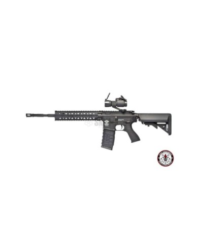 AEG CM 16 R8-L G&G (EGC-16P-R8L-BNB-NCM)