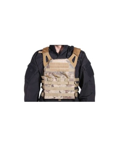 CHALECO PLATE CARRIER CRIPTEC ARENA DELTA TACTICS V18 + 2 PLACAS DE PROTECCION DUMMY