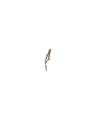 CORREA 1 PUNTO EXTRACCION RAPIDA TAN DELTA TACTICS