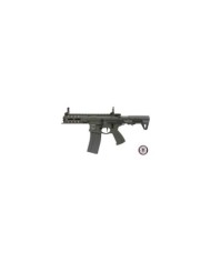 AEG 556 G&G (EGC-ARP-556-ANB-NCM)
