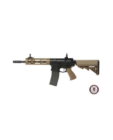 AEG CM16 RAIDER 2.0 DESERT G&G (EGC-16P-R20-DNB-NCM)