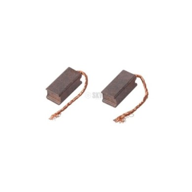 SET 2 ESCOBILLAS MOTOR AEG SAIGO