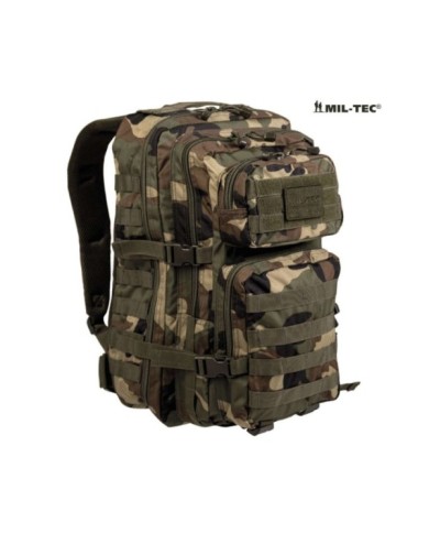 MOCHILA ASSAULT PACK LG W/L