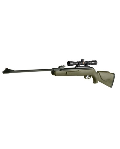 Gamo Big Cat 1000 E Barricade calibre 5,5 mm